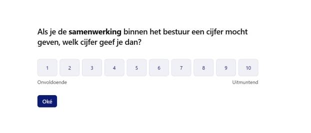 Voorbeeld van een scoreformulier uit de Vitaliteitsscan